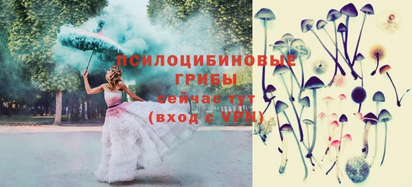 а пвп мука Ряжск