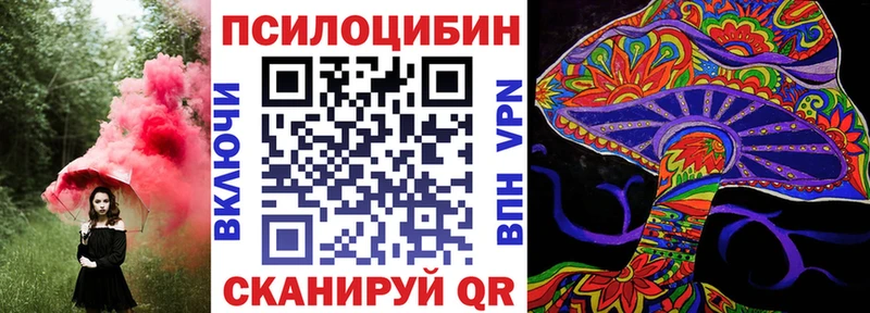 Псилоцибиновые грибы Psilocybe  гидра ТОР  Тейково 